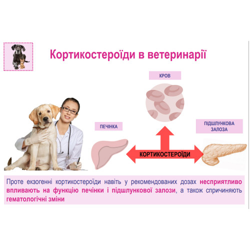 Стимулятор обміну речовин Катобевіт, 100 мл Стимулятор обміну речовин Катобевіт, 100 мл